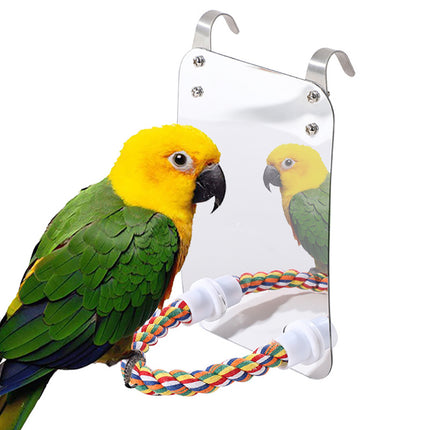 Parrot Toy Acrylic Bird with Mirror – Interactive acrylic toy with rope for birds.

