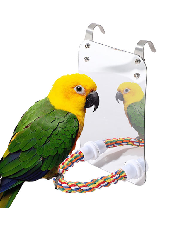 Parrot Toy Acrylic Bird with Mirror – Interactive acrylic toy with rope for birds.

