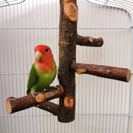  Parrot bird wood stand pole toy made of durable apple wood. Stylish and simple perch for your bird.

