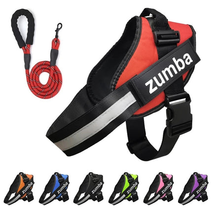 Personalized reflective breathable adjustable dog harness and leash set for French Bulldogs, puppies, and all small to large dogs – petpexi.com