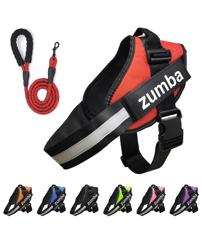Personalized reflective breathable adjustable dog harness and leash set for French Bulldogs, puppies, and all small to large dogs – petpexi.com