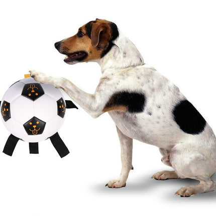 Durable TPU dog training ball with rope for fetch, chew, and interactive outdoor play – www.petpexi.com