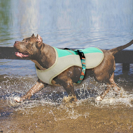Dog wearing PetPexi summer cooling coat in blue, orange, and green colors, designed to keep pets comfortable in hot weather

