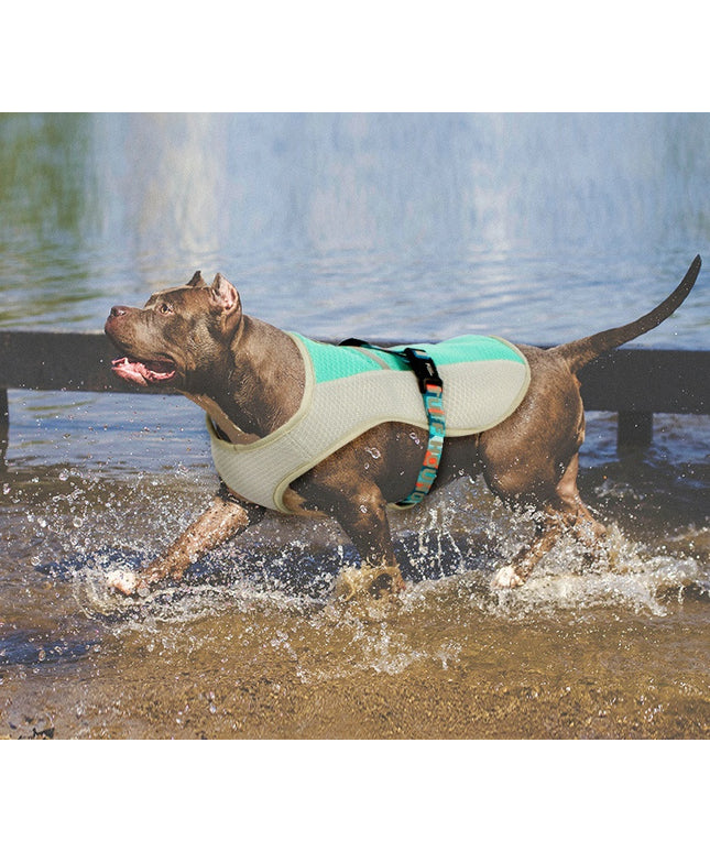Dog wearing PetPexi summer cooling coat in blue, orange, and green colors, designed to keep pets comfortable in hot weather

