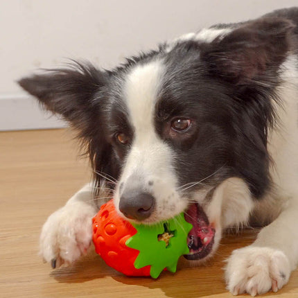 Pet Dog Teeth Cleaning Bite Resistant Toy Ball – Durable chew toy for dogs, strawberry & dragon fruit design with free USA shipping – PetPexi