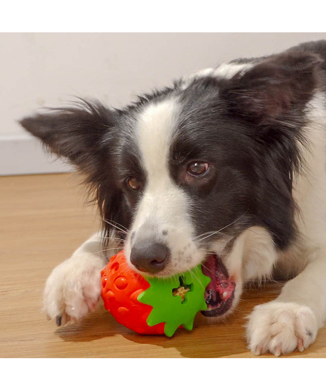 Pet Dog Teeth Cleaning Bite Resistant Toy Ball – Durable chew toy for dogs, strawberry & dragon fruit design with free USA shipping – PetPexi