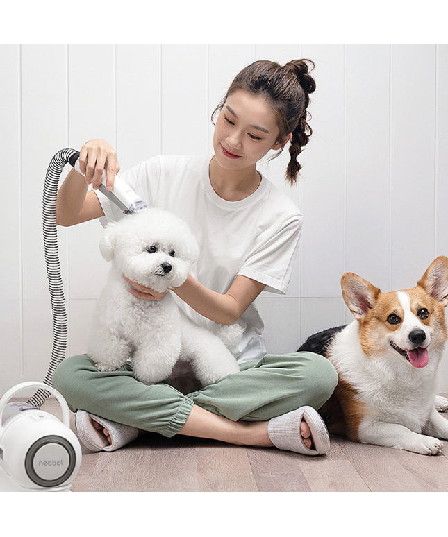 Professional pet grooming tool and hair trimmer kit for dogs with accessories, high suction dust box, white and green ABS body by Petpexi

