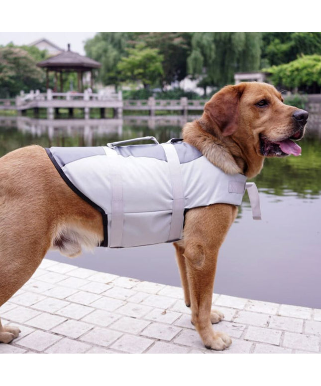 Dog wearing rose red pet life jacket from Petpexi – lightweight, secure, and perfect for swimming with free U.S. shipping


