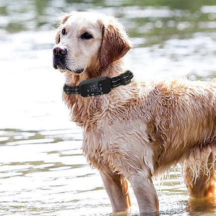 Wireless GPS Dog Fence Trainer with 1000m Range – Smart Collar for Pet Safety | petpexi.com