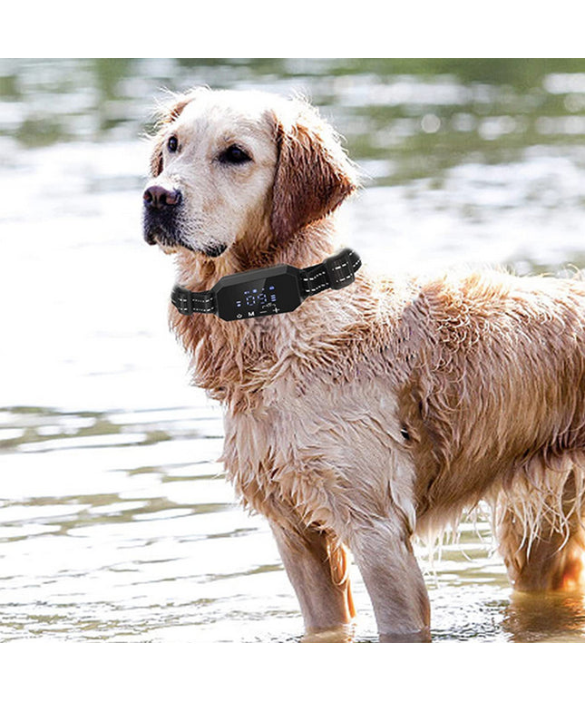 Wireless GPS Dog Fence Trainer with 1000m Range – Smart Collar for Pet Safety | petpexi.com