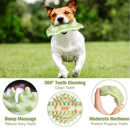 Green TPE Petpexi Dog Chew Toy Stick for teeth cleaning and bite resistance