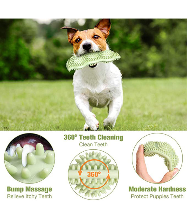 Green TPE Petpexi Dog Chew Toy Stick for teeth cleaning and bite resistance