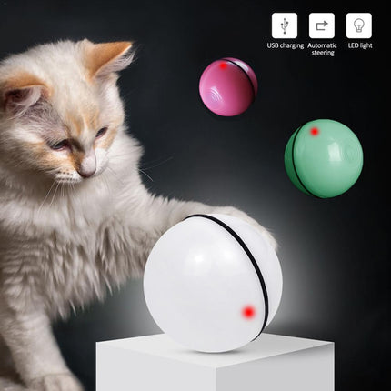 Transparent LED laser rolling cat toy ball with a feather and bell attached, glowing with colorful lights, by PetPexi.

