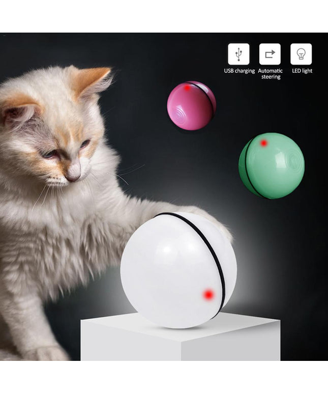 Transparent LED laser rolling cat toy ball with a feather and bell attached, glowing with colorful lights, by PetPexi.

