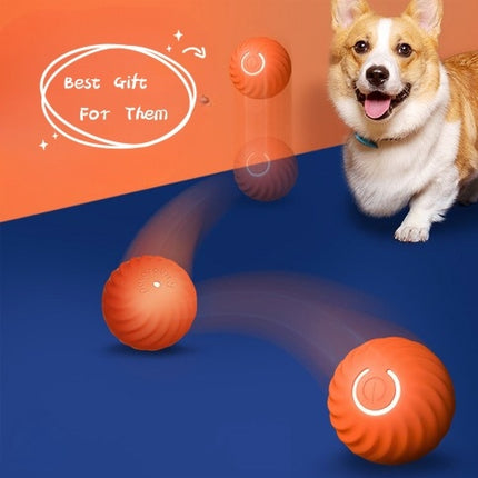 Vibrant blue PetPexi smart bouncing rubber dog ball, designed for chewing and interactive play.

