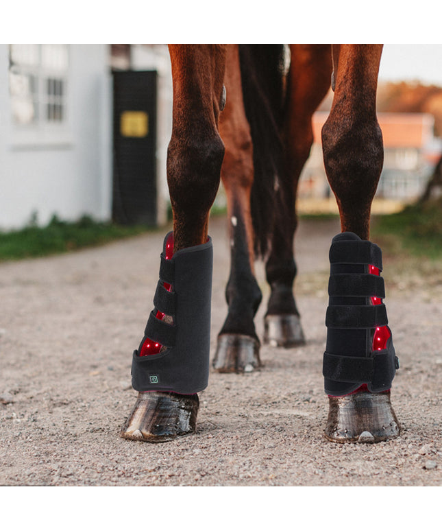 Portable Phototherapy for Horse Legs – 55W equine physiotherapy device for recovery and healing, available at www.petpexi.com with fast & free USA shipping.

