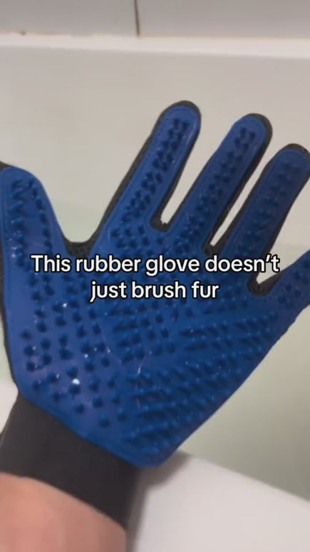 Pet Gloves for Dogs – Rubber Petting, Hair Cleaning & Massage Gloves | Petpexi
