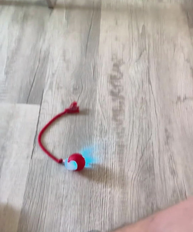Interactive Cat Toy Ball – Super Drive Rolling Ball with Chirping & 3 Modes | Petpexi