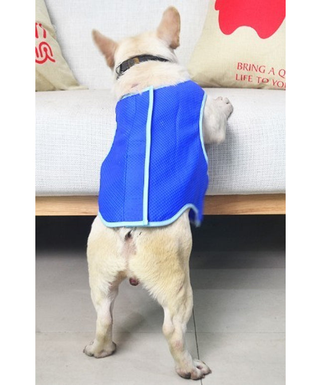 Dog wearing PVA summer cooling vest for heat relief – breathable pet apparel from Petpexi

