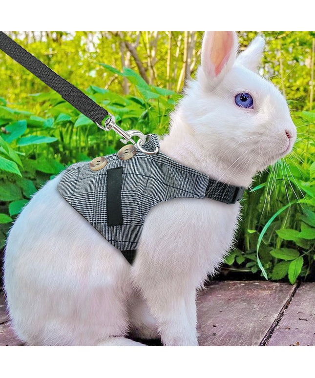 Rabbit Leash & Dress Chest Strap – Comfortable Pet Harness for Rabbits | Petpexi