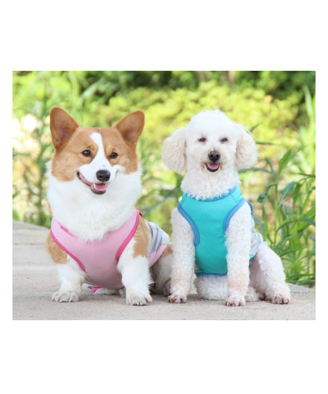 Dog wearing reflective cooling vest in cherry pink – summer pet apparel by Petpexi

