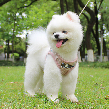 The New Reflective Dog Leash – Night Safety Traction Belt for Small & Large Dogs | Petpexi