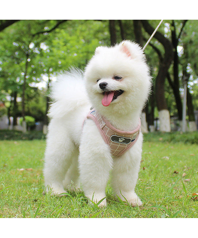 The New Reflective Dog Leash – Night Safety Traction Belt for Small & Large Dogs | Petpexi