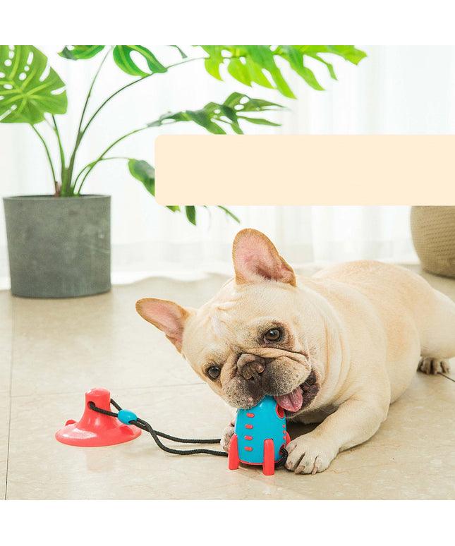 Rocket Dog Toy with molar bumps for oral health and bite-resistant silicone design