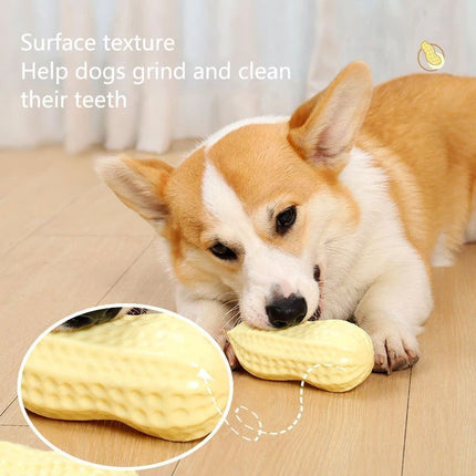 Rubber Vinyl Dog Toy – Durable chew & interactive toy for small dogs, elastic, sound-enabled, teeth cleaning & boredom relief | www.petpexi.com