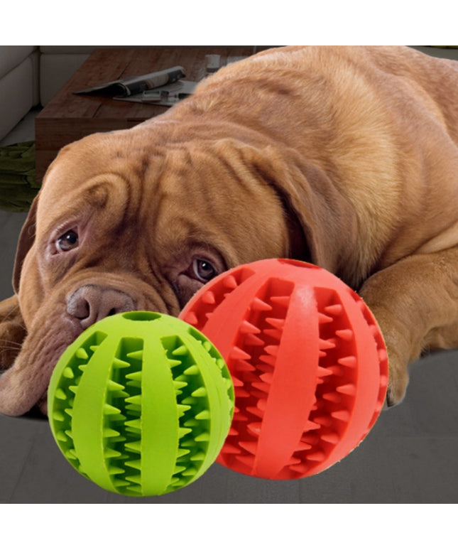 Colorful Rubber Watermelon Ball dog toy from Petpexi, bite-resistant and eco-friendly, available in 5CM and 7CM sizes for puppies and dogs.