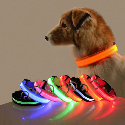 Safety LED dog collar by Petpexi in multiple colors with fiber optic lights, waterproof design, adjustable sizes XS to XL, flashing modes for night safety

