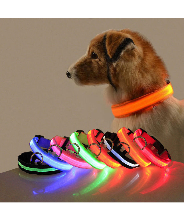 Safety LED dog collar by Petpexi in multiple colors with fiber optic lights, waterproof design, adjustable sizes XS to XL, flashing modes for night safety

