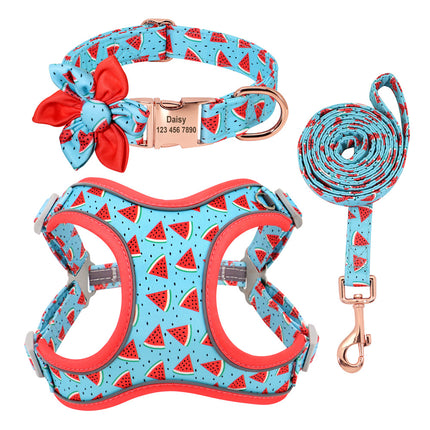 Small dog Teddy and Corgi collar set with leash and strap, adjustable polyester for safe walks and outdoor adventures | Petpexi