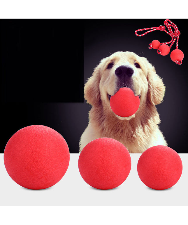 Solid Rubber Bouncy Ball Toy for Dogs – Durable Chew & Fetch Interactive Pet Toy | www.petpexi.com