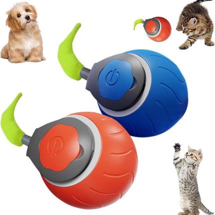 Speedy Tail Interactive Cat Toy – USB rechargeable dual-speed rolling ball from Petpexi, premium quality with fast free USA shipping

