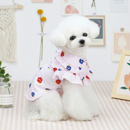 Small dog in lightweight spring/summer outfit from www.petpexi.com – breathable cotton clothes for dogs and cats with free shipping in the USA

