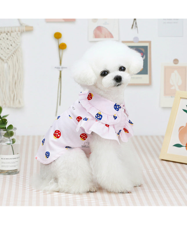 Small dog in lightweight spring/summer outfit from www.petpexi.com – breathable cotton clothes for dogs and cats with free shipping in the USA

