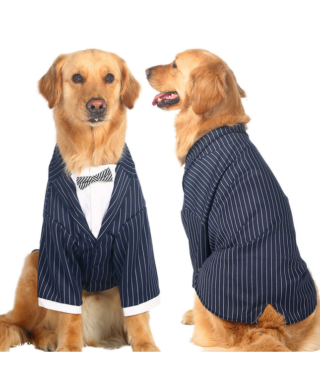 Large dog wearing striped bow tie suit from www.petpexi.com – formal cotton outfit with fast and free US shipping

