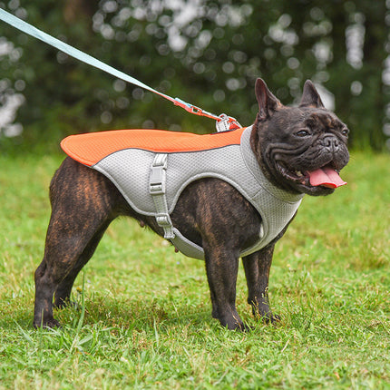 Summer Pet Outdoor Cooling Vest in Blue – Breathable & Comfortable for Dogs, Perfect for Hot Weather, Available at www.petpexi.com

