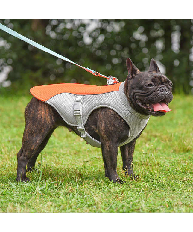 Summer Pet Outdoor Cooling Vest in Blue – Breathable & Comfortable for Dogs, Perfect for Hot Weather, Available at www.petpexi.com

