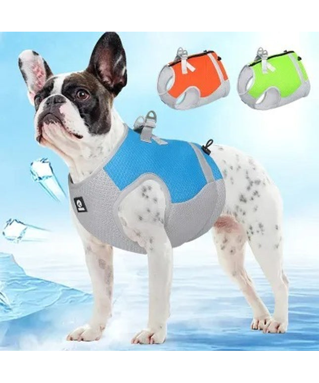 Dog wearing PetPexi summer traction vest in sky blue, orange, and fluorescent green, made from breathable Ice Silk for comfort in hot weather

