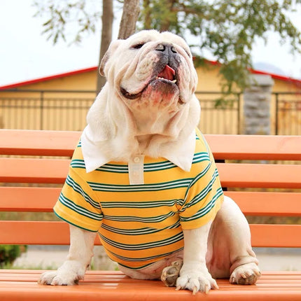 Dog wearing a stylish cotton summer polo shirt in green, yellow, or blue – available at www.petpexi.com with free USA shipping.

