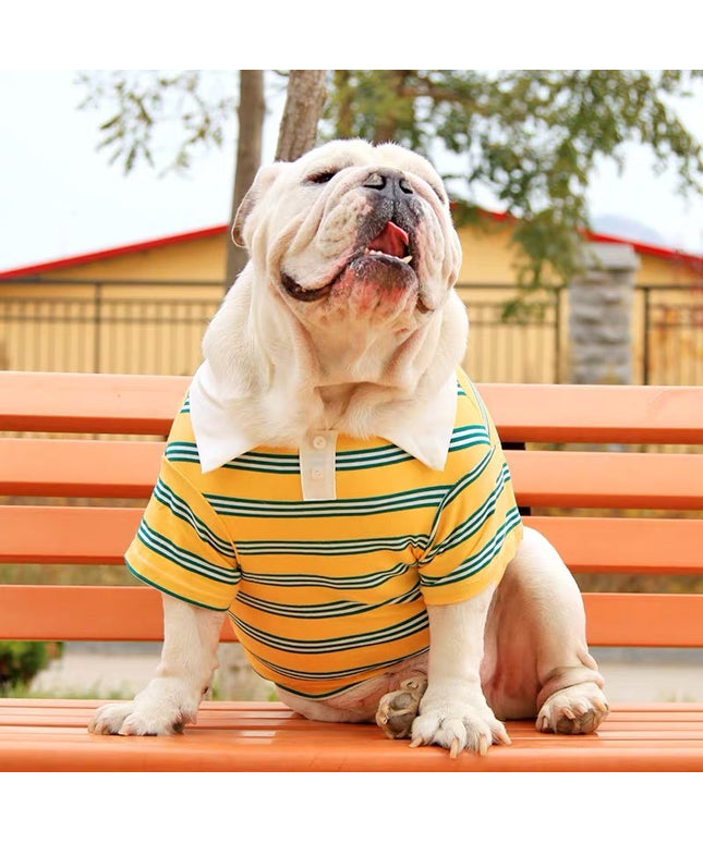 Dog wearing a stylish cotton summer polo shirt in green, yellow, or blue – available at www.petpexi.com with free USA shipping.

