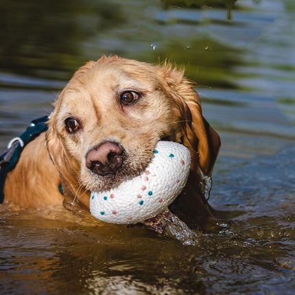 Teeth-Resistant Pet Dog Chewing Toy Football – Durable Interactive Chew & Fetch Toy | Petpexi