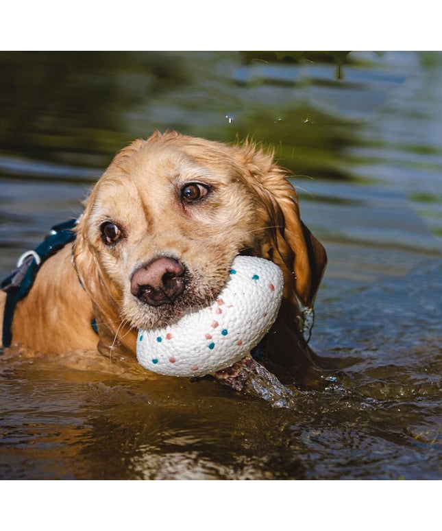Teeth-Resistant Pet Dog Chewing Toy Football – Durable Interactive Chew & Fetch Toy | Petpexi