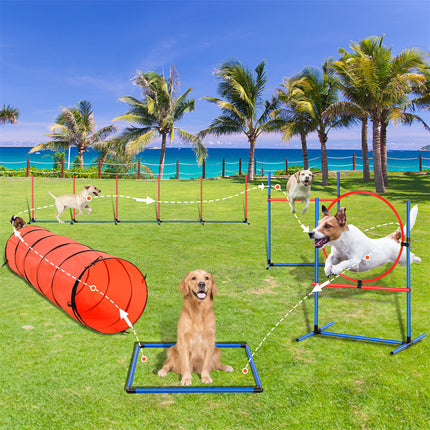 VEVOR 5 PCS Dog Agility Training Equipment Set with Hurdles and Extended Tunnel – Available at www.petpexi.com – Fast Free USA Shipping

