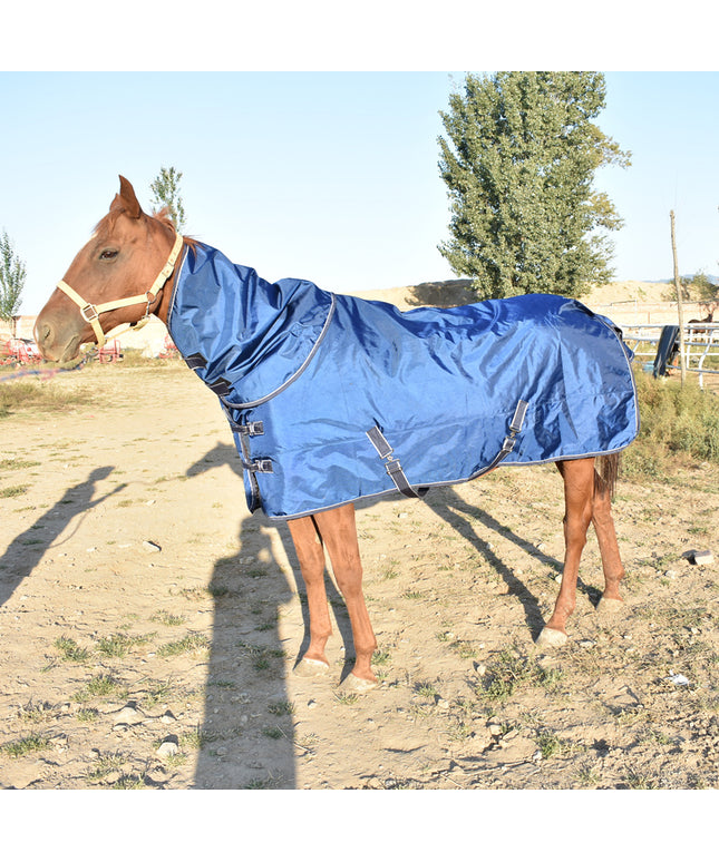 Premium Winter Padded Cotton Horse Jacket with Bib from PetPexi, cozy and durable for horses and foals, free USA shipping